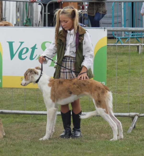 55981a01-adba-4630-9a91-25f7b573747b