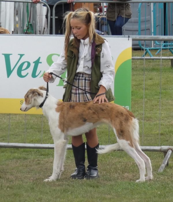 55981a01-adba-4630-9a91-25f7b573747b