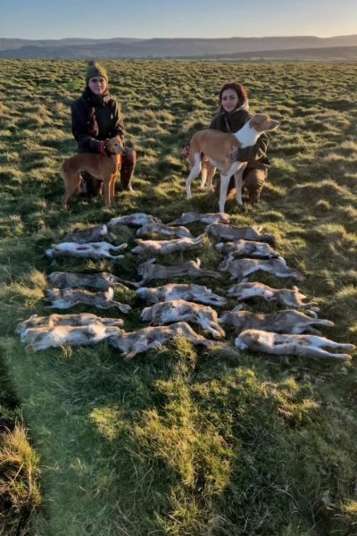 56732a22-4076-42f1-b332-fce1bde53960