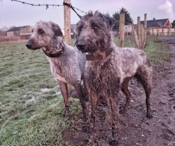 618761361_2438137969979488_6546935743692821020_n