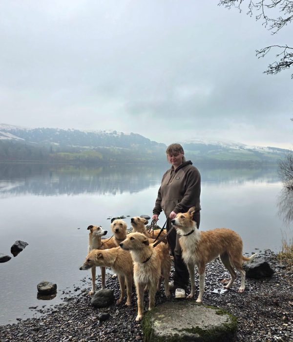 85933b12-e6ba-49a3-a711-b887b8298cee